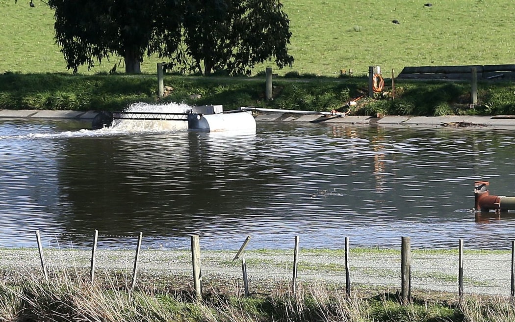 31052019 News Photo : Scott Hammond/ Stuff 
Vox Pop
sea level rise in Havelock.
Sewerage Pond
Sewage pond