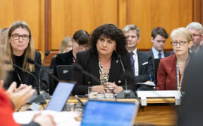NZ First MP and government minister, Casey Costello defends her budget plans for the immigration portfolio in front of the Social Services and Community Committee.