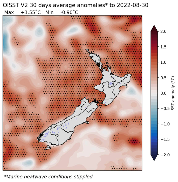 Coastal sea surface temperatures (SSTs) ranged from 0.5C to 1.0C above average during August with marine heatwave conditions occurring offshore of many regions.