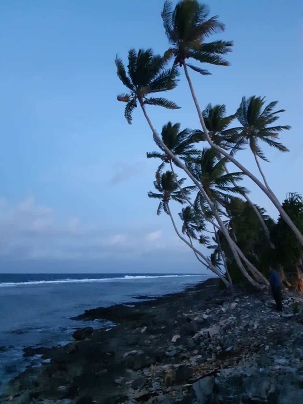 The shoreline along Tuvalu's Funafuti