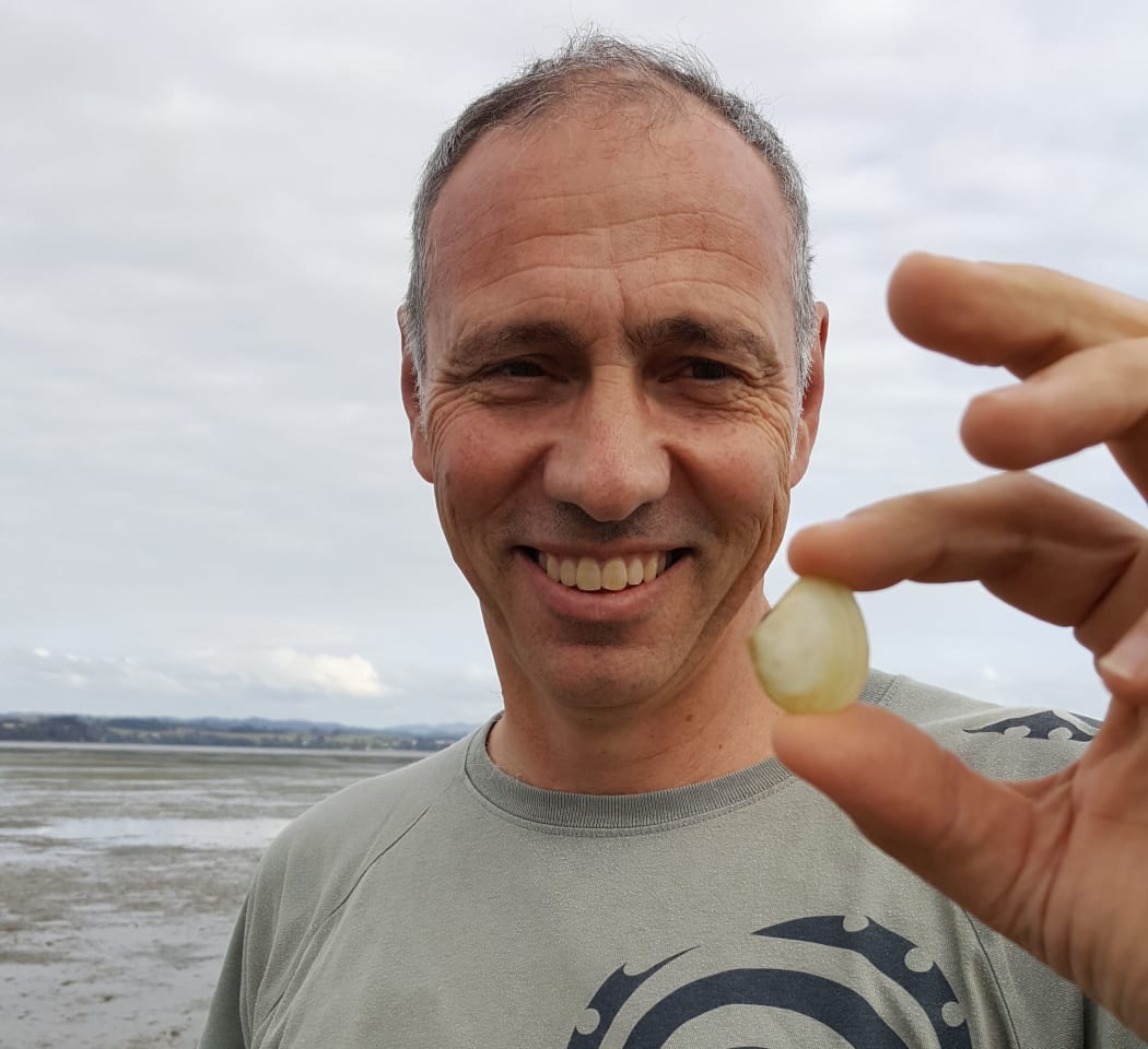 Conrad Pilditch holds a wedge shell, Macomona liliana. These bivalves have an improtant role in moving nutrients around in sandy estuary ecosystems.