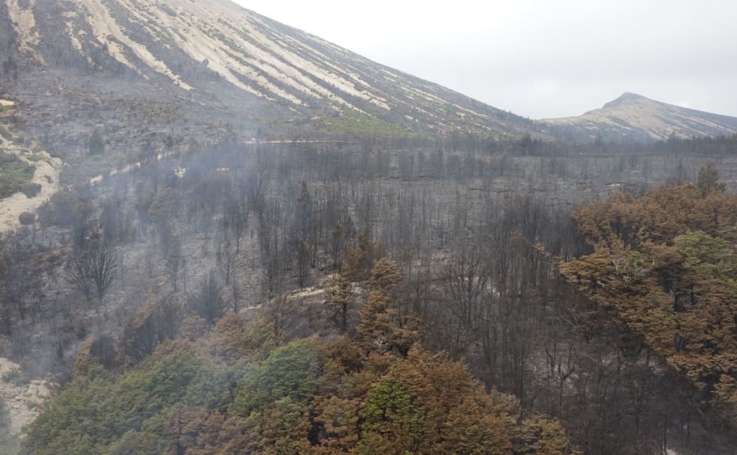The fire opposite Craigieburn Forest Park near Arthur's Pass - pictured on Wednesday 28 January