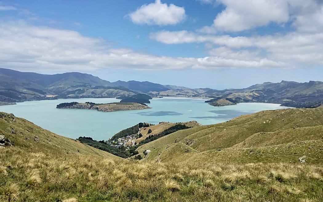 Whakaraupō Lyttelton Harbour from above Cass Bay in Canterbury.