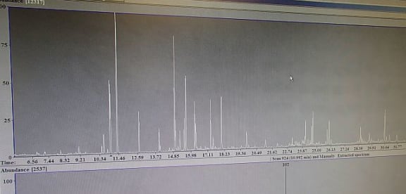 The hair samples are analysed in a GCMS (gas chromatography mass spectrometry) machine. The resulting graph shows individual metabolites or biomarkers appearing over time - the height of the peak relates to the amount that is present.