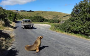 SEAL