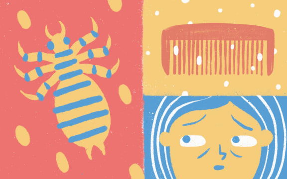 Stylised illustration of lice, comb and child