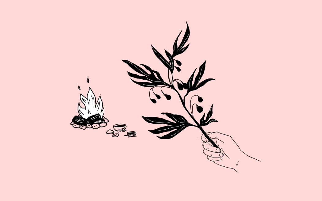 Māori women would brew Poroporo leaves in a broth to keep their menses on schedule.