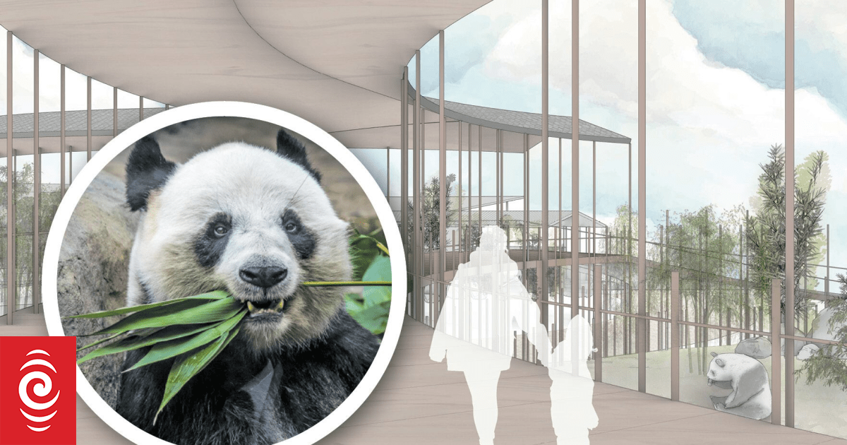 Ideas for what to do with Tōmoana Showgrounds in Hastings are being sought - and Pandaland will be one submission