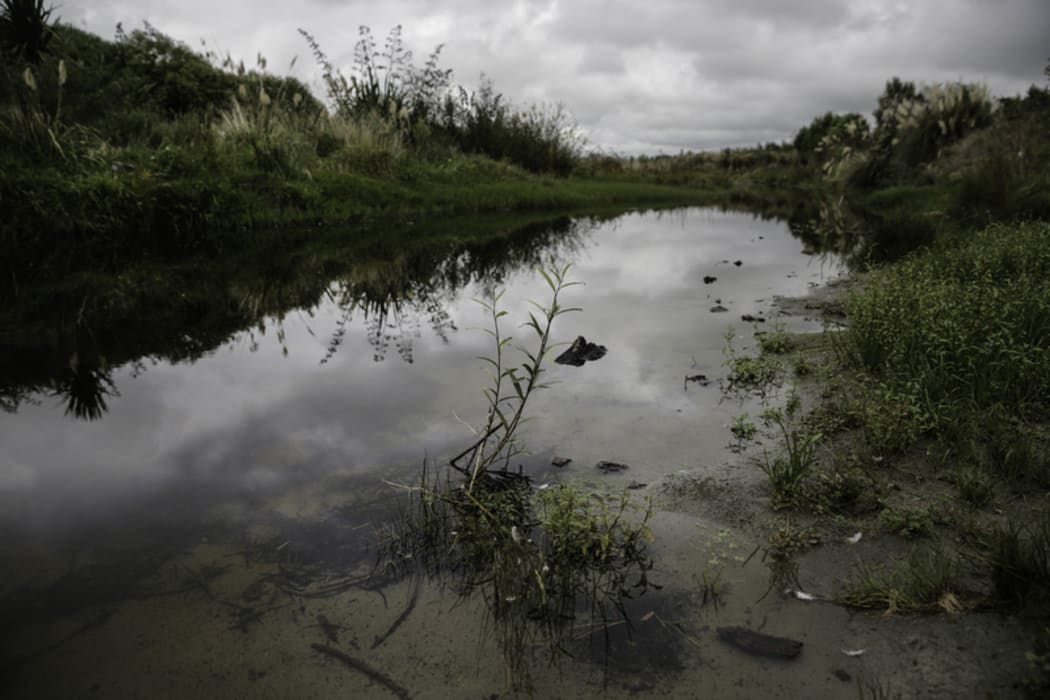 Pourewa Stream