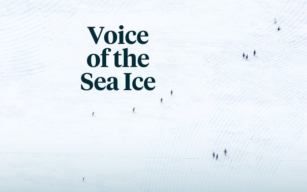 Image of white ice with light wave lines in the top left and bottom right corners with small penguins walking across the ice . The words ‘Voice of the Sea Ice’ appears in the middle of the image.