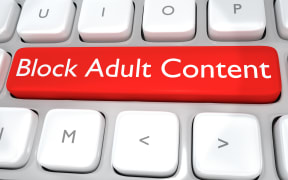 Render illustration of computer keyboard with
the print Block Adult Content on a red button