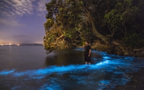 Photographer Alistair Bain captured this image of the glowing waves.