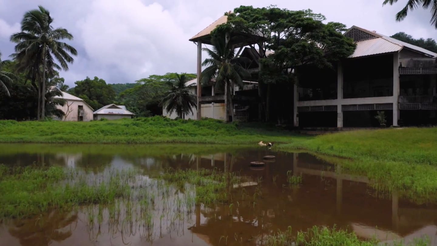 The Sheraton Hotel in its current overgrown and derelict state