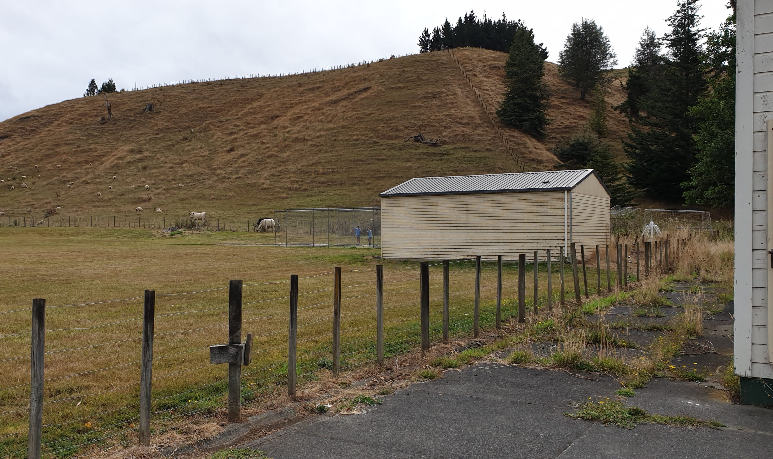 The teaching farm, once owned by the college and now leased by Taihape Area School.