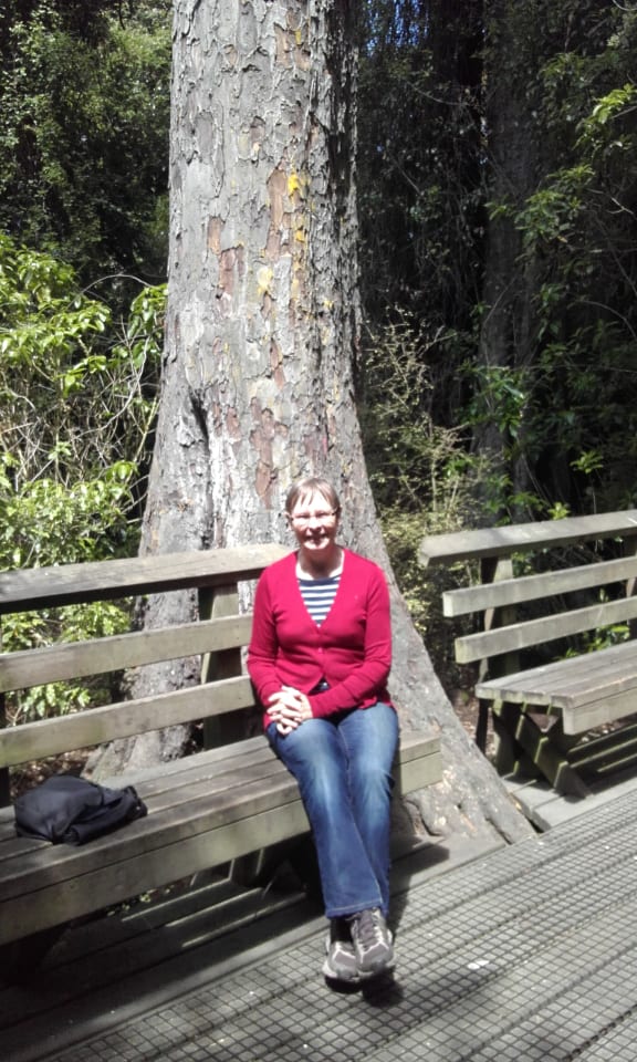 Joanna Orwin, the author of a history of the Deans family, sitting among the tall kahikatea in Riccarton Bush.