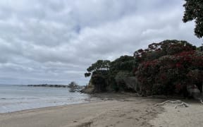 Castor Bay on Auckland's North Shore.