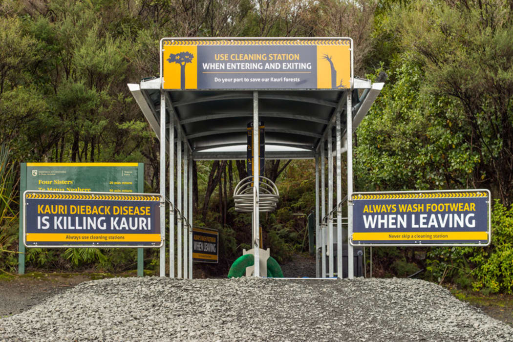 Cleaning Station for Kauri Dieback Disease