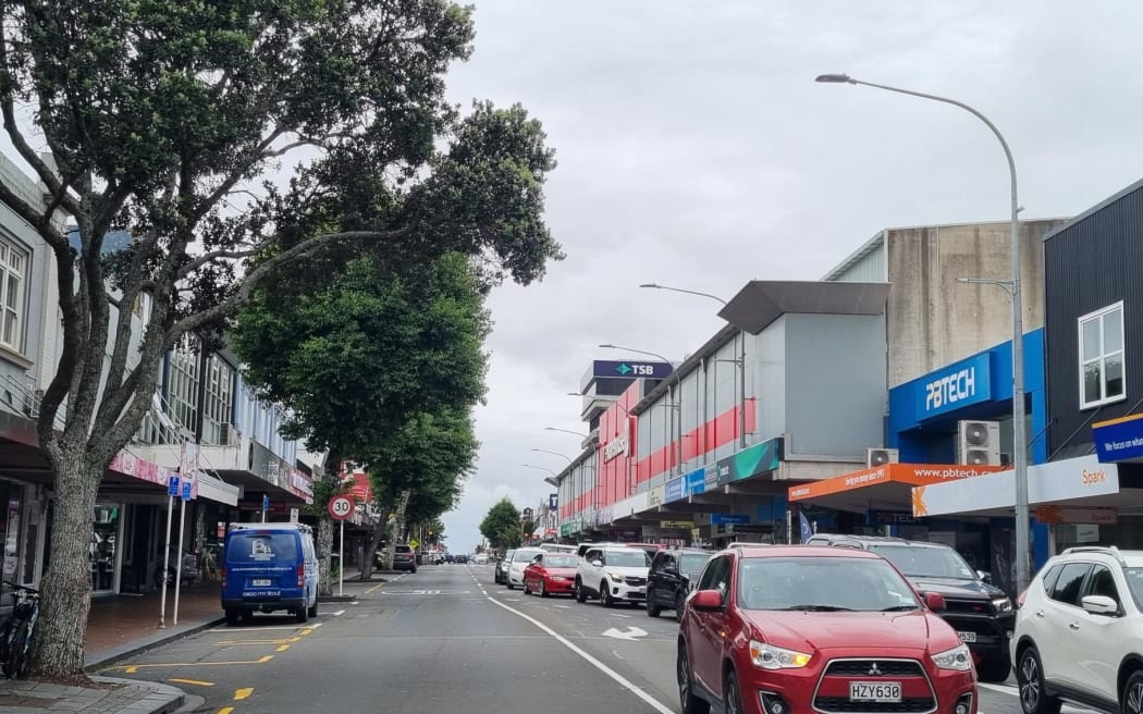 Signs have begun appearing on alder trees in the New Plymouth CBD marking them for the chop. The council is removing about a third of 60 alder trees in the first phase of a $10.3 million inner city makeover. The trees have been blamed for creating a slip hazard and damaging infrastructure.