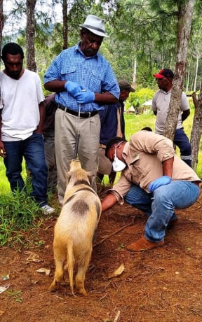 NAQIA filed officers collecting samples.