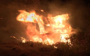 Nelson fire.