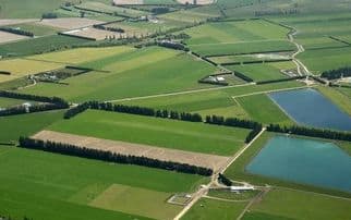 New Zealand farmland