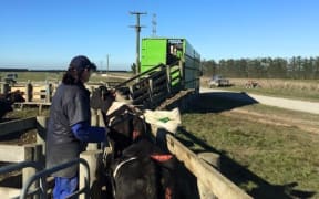 Michael and Susie Woodward moving their farm