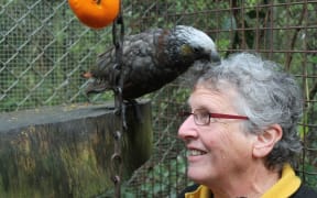 Avian sanctuary in Otatara
