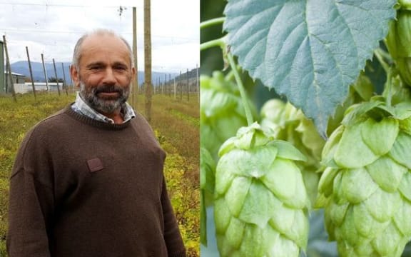 Sheep farmer Noel Moleta and some hops