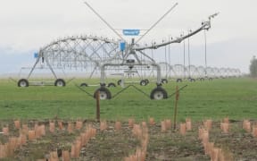 Dairy farm restoration planting, with an irrigator and remnant forest in the background.