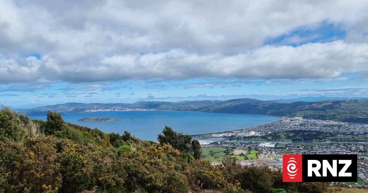 Commerce Commission tightens scrutiny over Tiaki Wai
