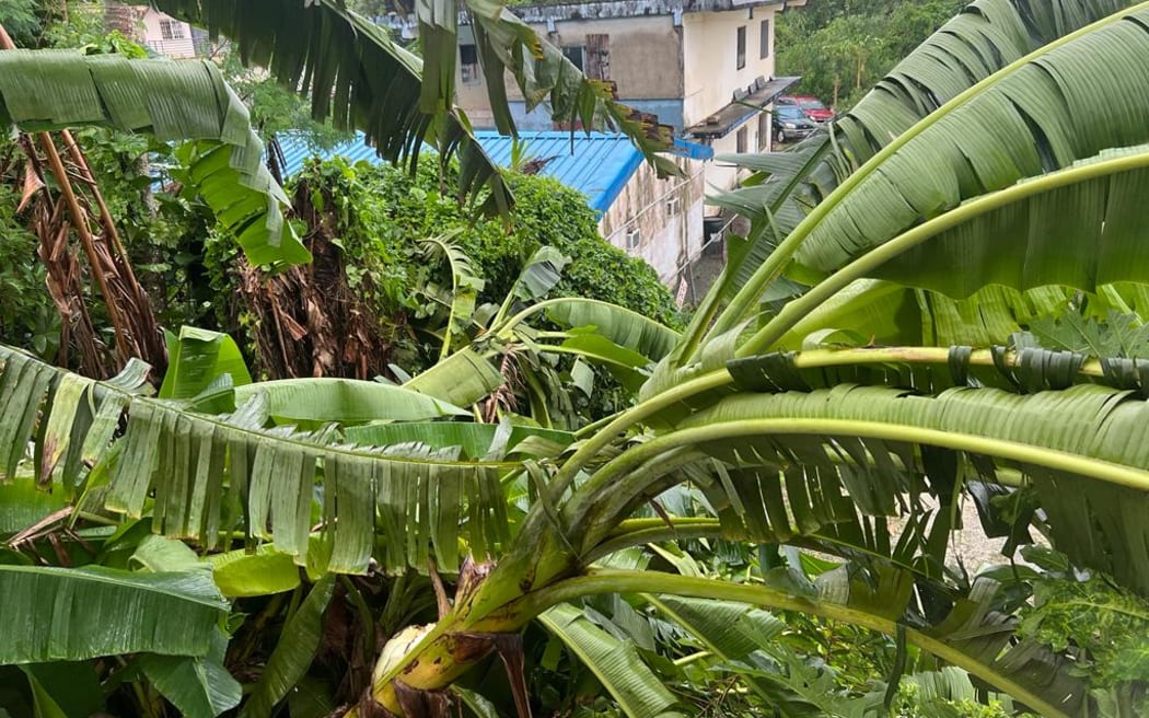 RNZ's CMNI correspondent Mark Rabago says Bolaven was a "banana typhoon" in Saipan.