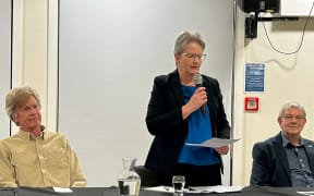 Marlborough District Council candidate Barbara Faulls said the council could not enforce a cat control bylaw without government legislation.