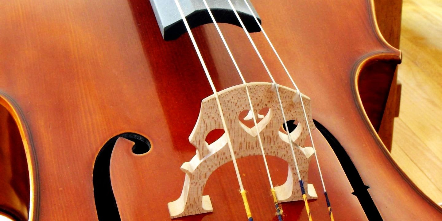 Graphic for For love of the ... cello