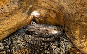 One of the hundreds of lava caves under Auckland.