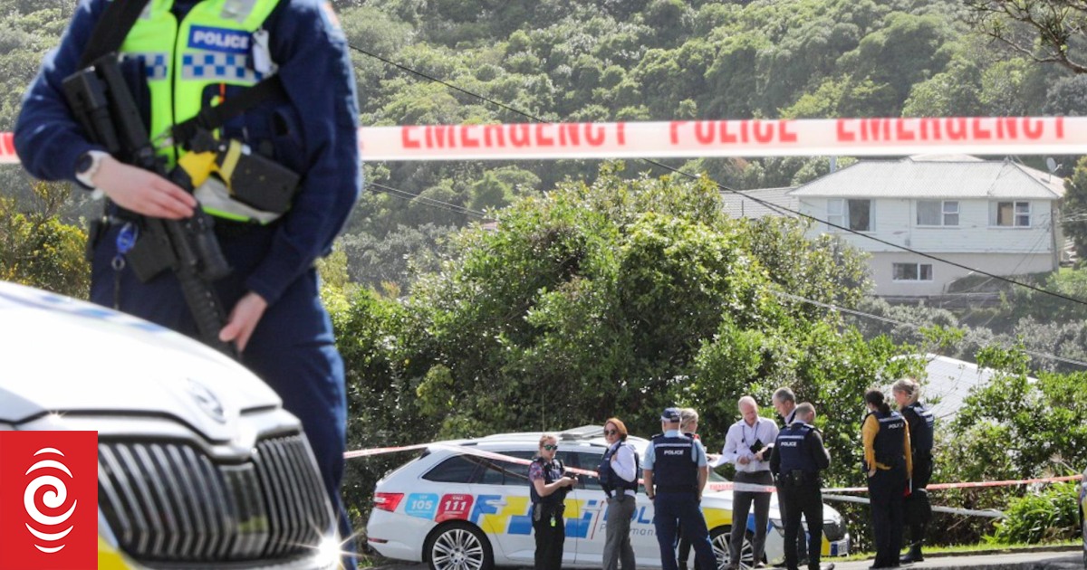 What the government's firearms act reform proposals will change - and what they won't