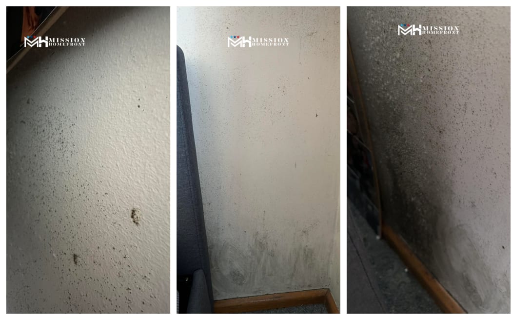 images of mouldy and damp NZDF houses, provided by Mission Homefront