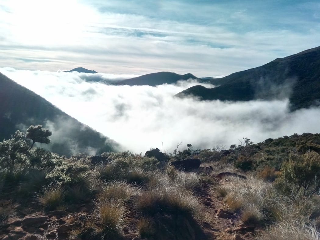 A view from high above the clouds on the Richmond Range.