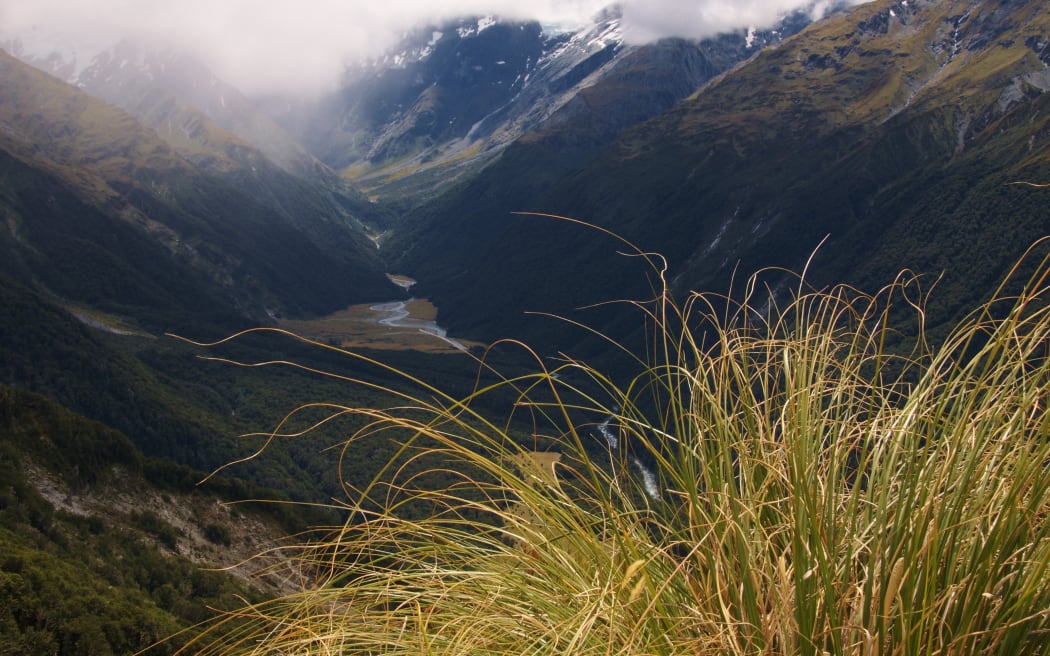 Matukituki valley west branch, mount aspiring national park.