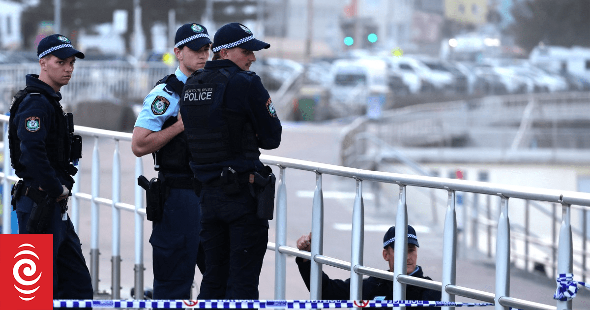 Bondi Beach gunmen confirmed as a father and son from south-west Sydney