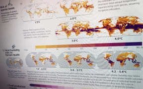Graphs from the recent IPCC report on climate change seen on a computer monitor.