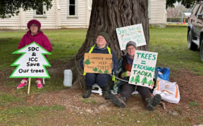 Lumsden Tree Lovers members protested the felling of Lawson Cypress trees dating back more than 100 years near the Lumsden Presbyterian Church.
Photos: Supplied/Kim Spencer-McDonald