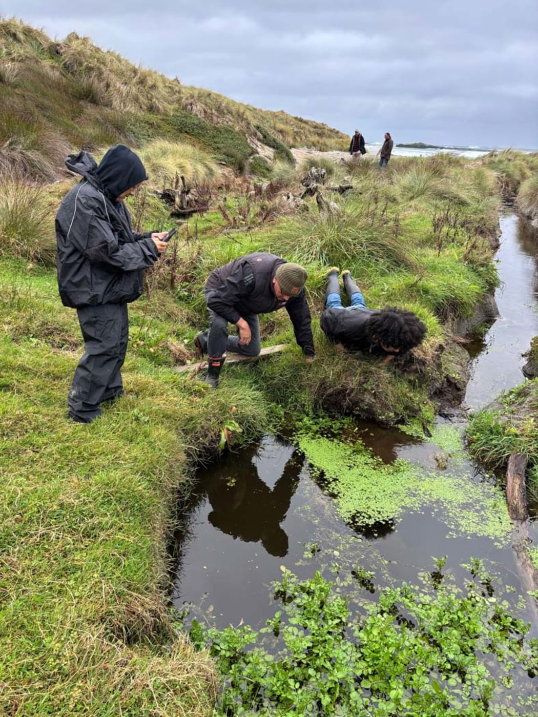 Dr Kahutoi Te Kanawa, Professor Sir Derek Lardelli and Nikau Dix at the creek near the excavation site for a waka on the coast of the Chatham Islands.