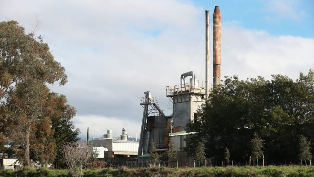 The old sawmill, on Waters Ave, Blenheim has been floated as a potential film studio location.