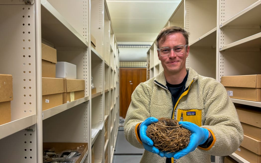 A man wearing blue gloves and safety goggles stands in a long row of roller shelves stacked with cardboard boxes. He is holding a large twiggy brown bird's nest in his hands.