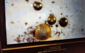 Spherules from the path of recognized interstellar meteor, IM1, under a microscope.