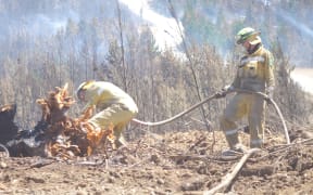 Firefighters tackle fire in Moutere North Forest in north-eastern sector of fire zone near Nelson.