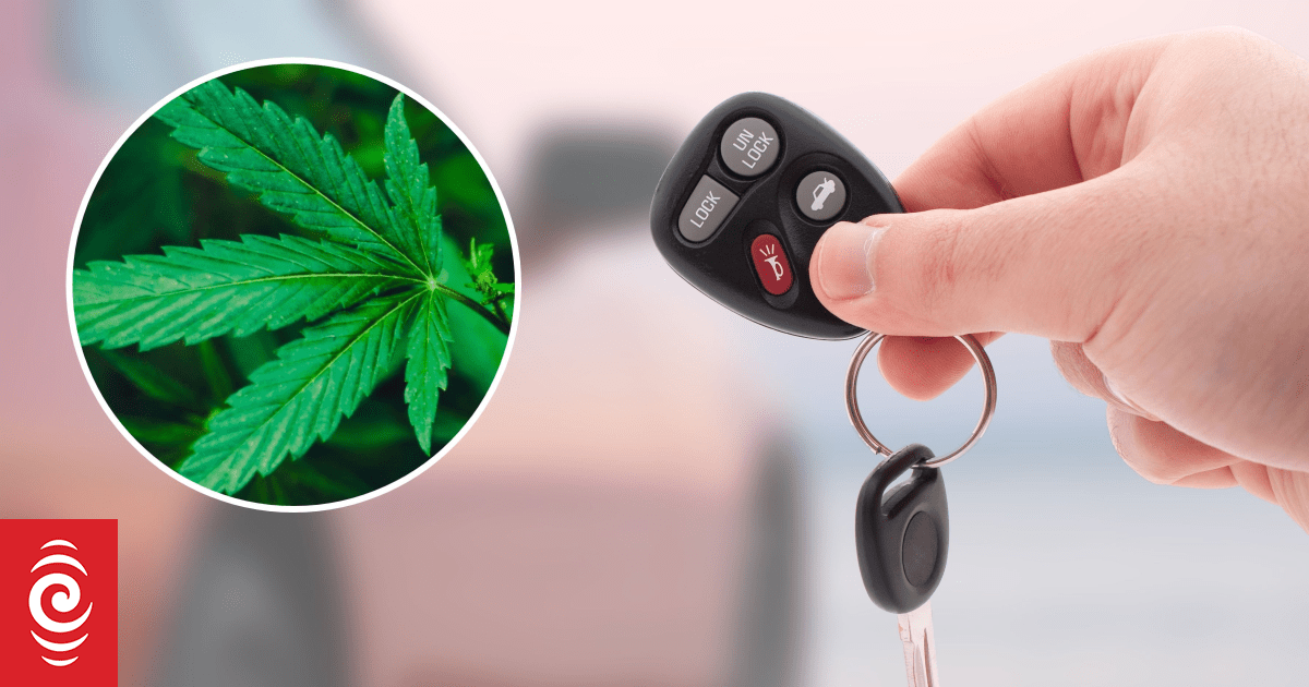 Failed drug test one of several vehicle policy breaches by council