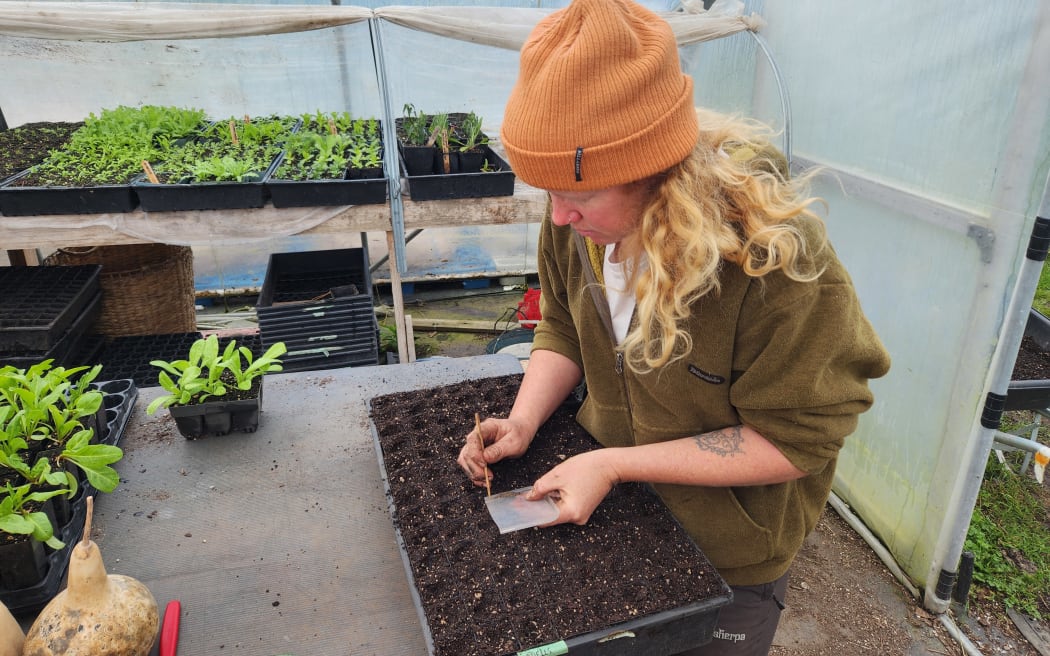 Jemma with a toothpick planting the seeds into a bed of soil in the greenhouse