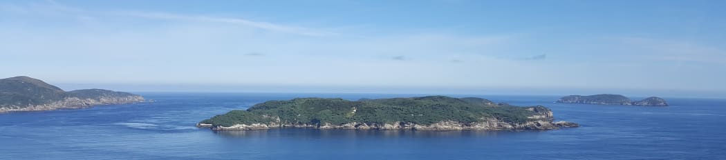 Putauhinu
