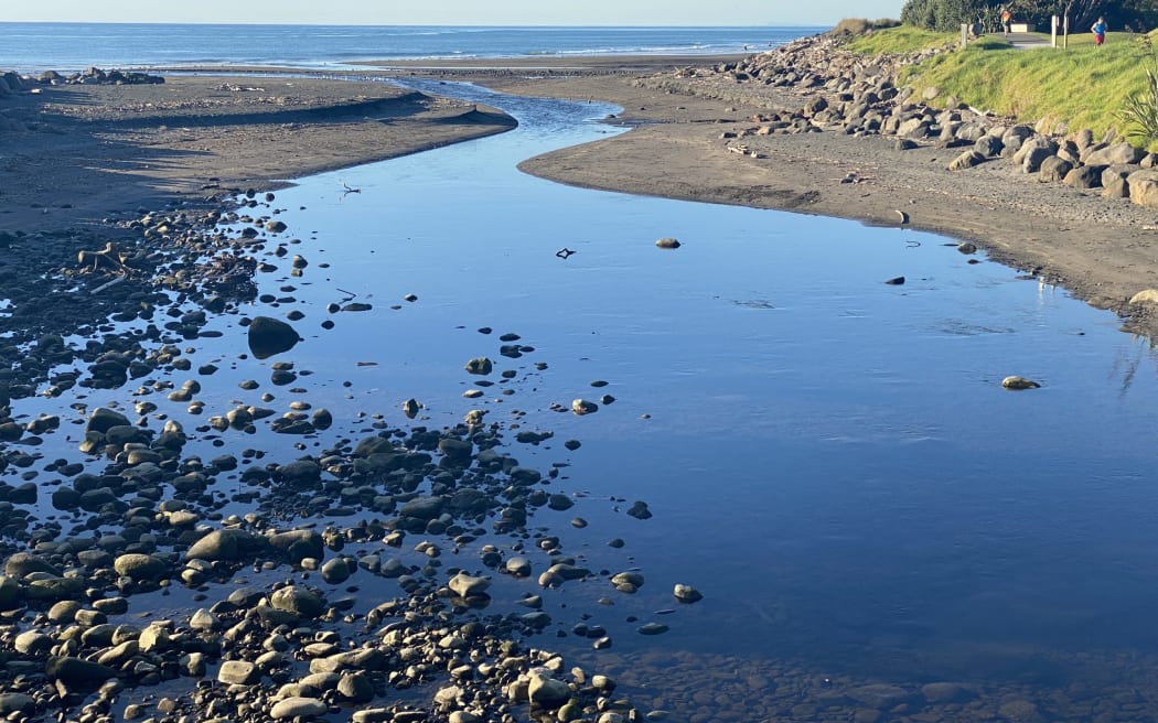 Kaimoana is off the menu from New Plymouth's eastern beaches